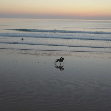 miniature - cheval/plage/galop/Vauville/crépuscule