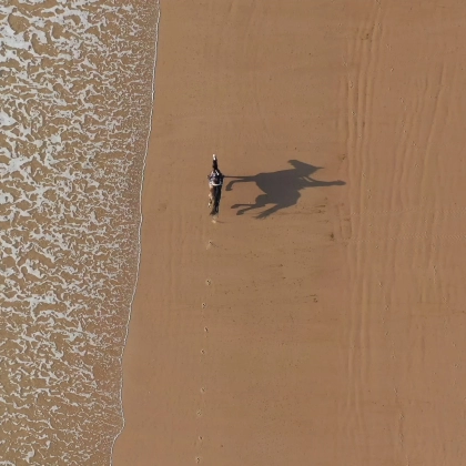 miniature - cheval/plage/Vauville/drone